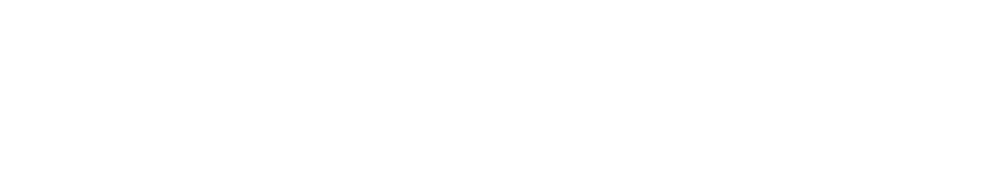 IGFirstERP Logo