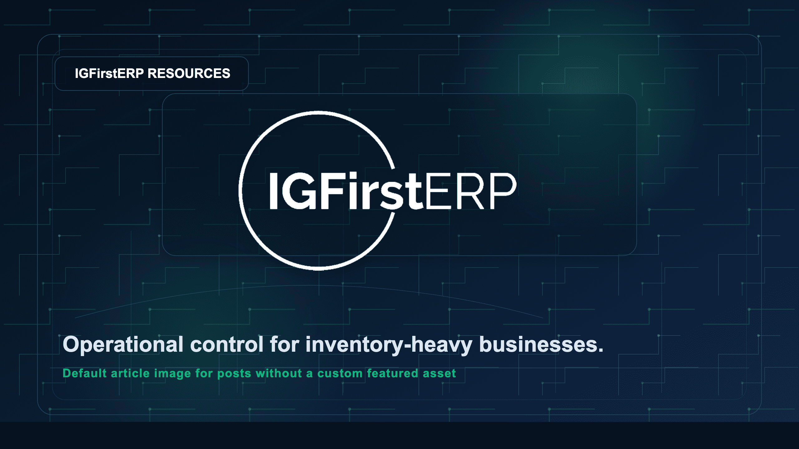 IGFirstERP branded fallback pattern for resources posts